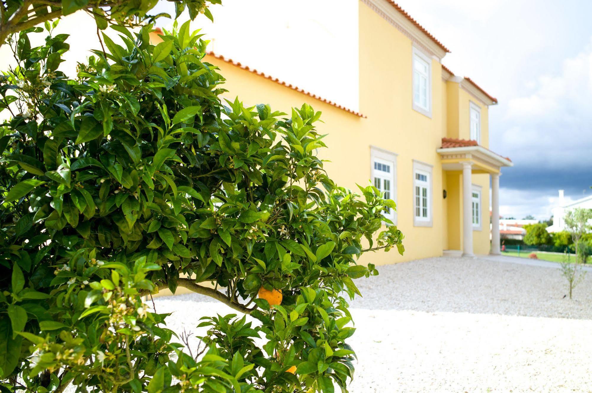 Bed and Breakfast Casa Pedra Nobre Nadadouro Zewnętrze zdjęcie